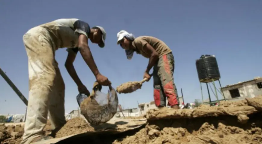 خبير اقتصادي : الحكومة لم تنجح  في إحلال العمالة المحلية مكان الوافدة