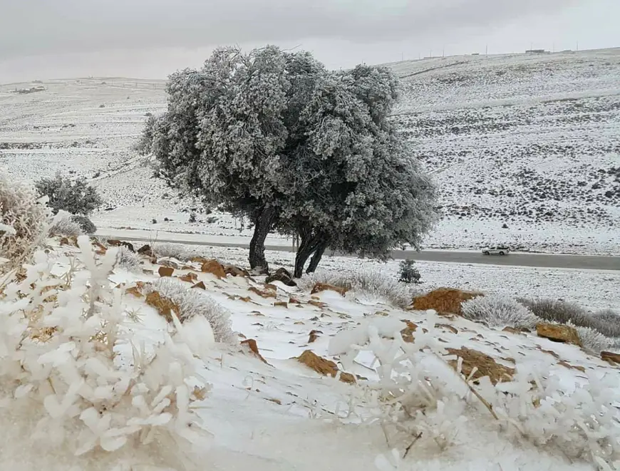 الشوبك تُسجل أقل درجات حرارة في الأردن